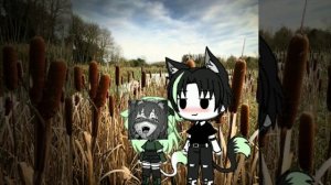 мы забрались в камыши{meme}{Gacha life}