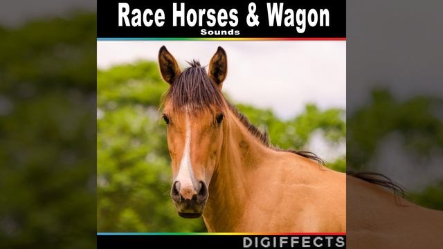 Horse Wagon Ride смотреть онлайн