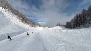 Альпика 20.02.2025