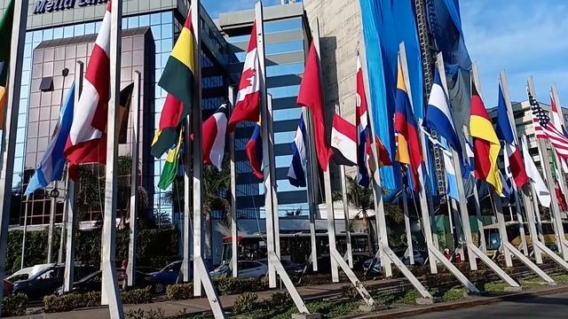 ZTE Blade V40 Smart 5G | Prueba de cámara | reseña | review en español смотреть онлайн