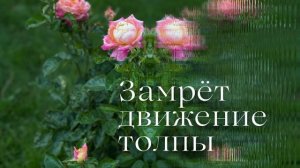 Замрёт движение толпы✨