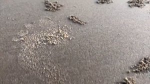 Обзор отеля Muine Bay 4* во Вьетнаме