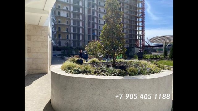 Квартиры у моря новостройки Краснодарский край купить квартиру реально #недвижимость #квартиры #юг