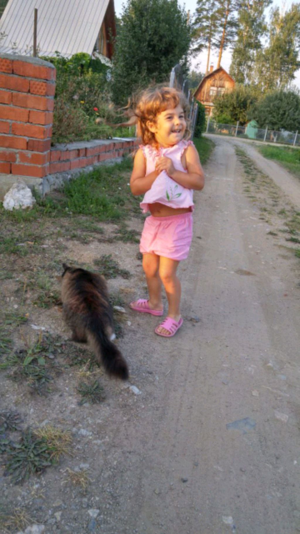какашка