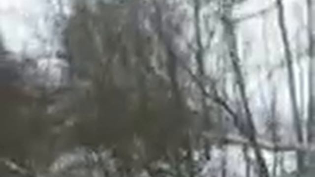 7 Алмаз куница 30 12 смотреть онлайн