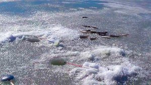 Рыбалка со льда на Угольной в Амурском заливе.