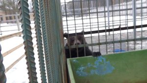 Потапка и Тоня