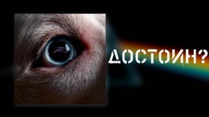 Roger Waters - The Dark Side Of The Moon redux. Оно того стоило?