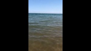 Шардара. Гуляем по Шардаре. Шардара пляж 🏖