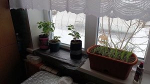 05-03-2025 Моя жизнь в деревне 🏠