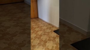 КвартираN3.mp4