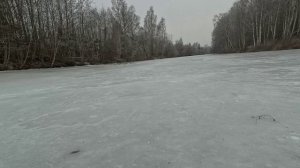 Ушли самодельные жерлицы...