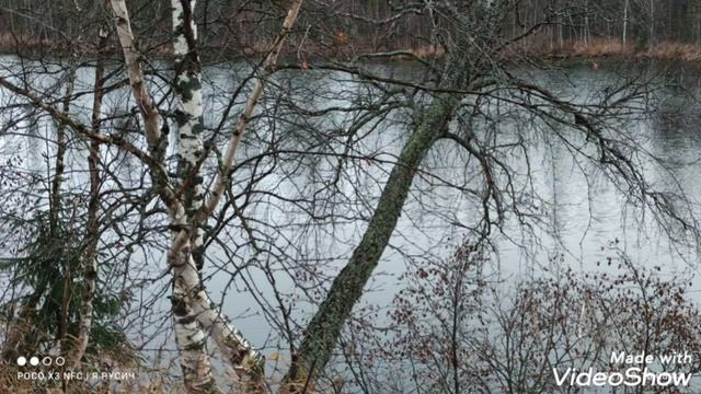 Красота поздней Осени, скоро Зима