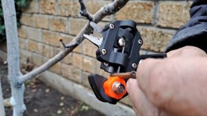 Прививка груши на грушу прививочным секатором.