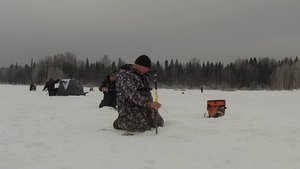 Отвёл душу! Заброс поклёвка! Одна за одной! Плотва на безмотылку.