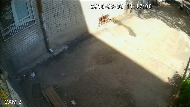 Я не срываю объявления говорила она.