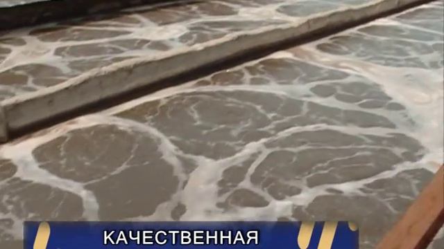 СЕВЕР СТРАНЫ СТАНЕТ ЧИЩЕ смотреть онлайн