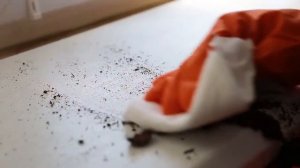 Komfort Белый дуб VS цветочный грунт