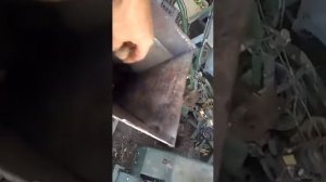 самодельный орехокол. добавлена автоматическая подача ореха