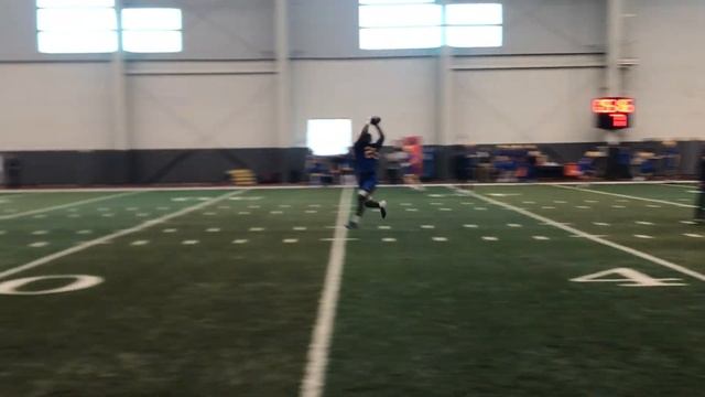 Pitt TE Passing Drill 3/4/20 | 2020 Spring Football | PSN смотреть онлайн