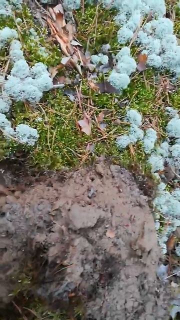 Крот 3хм и рейтинг смотреть онлайн