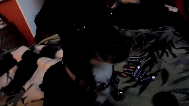 FALLING IN LOVE W/ YOURSELF: 3 SHUV TEMPLE RUN смотреть онлайн