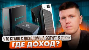 Что стало с доходом на Scrypt в 2025? Где доход?