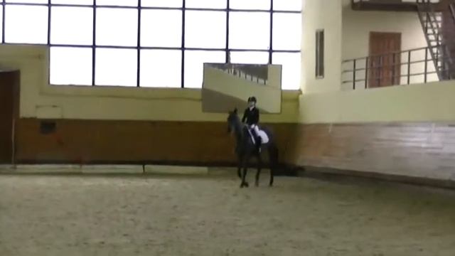 Лиза и Эмир смотреть онлайн