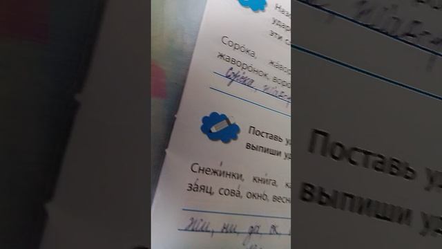 Проверка тетрадей по русскому языку/игра в учителя