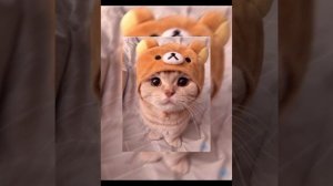плейлист песен из тик тока