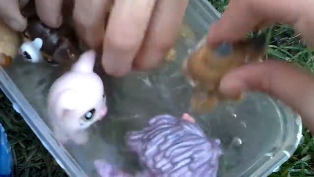 LPS - holidays "pool party" смотреть онлайн