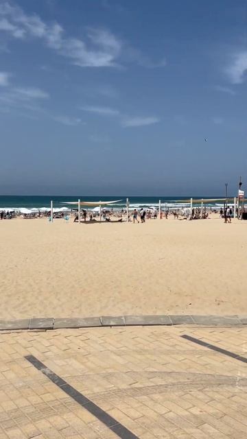Ришон ЛеЦион Израиль #израиль #israel #shortsvideo #shortsyoutube #набережная #море смотреть онлайн