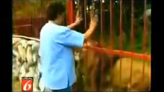 Животная любовь!это круто- Гуно смотреть онлайн