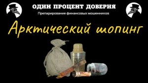 Арктический шопинг