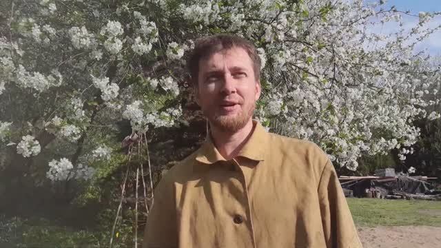 ❗️ГОТОВИМ ЛОВУШКИ К роеловному сезону 2024 Установка и выбор места #пасека #пчелы #рой #ловушка смотреть онлайн