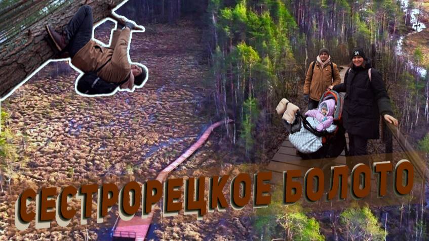 🥾Прогулка по экотропе Сестрорецкое болото