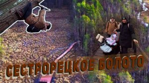 🥾Прогулка по экотропе Сестрорецкое болото