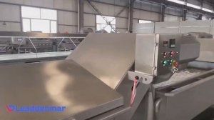 Подающий элеватор-транспортер Leaddenmar Elevator L500 для транспортировки различной продукции