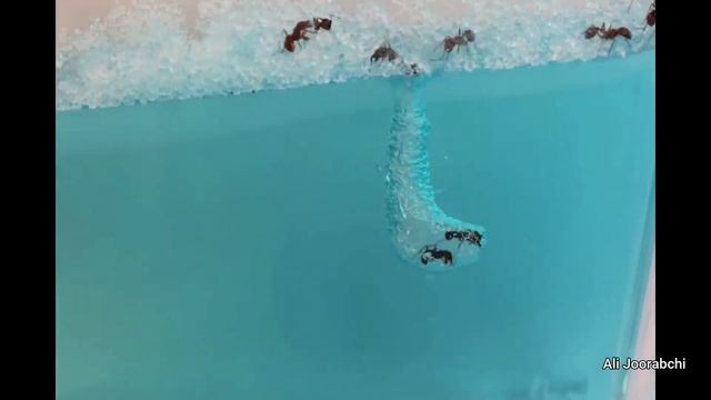 Así CREAN un TIGRE EN 3D