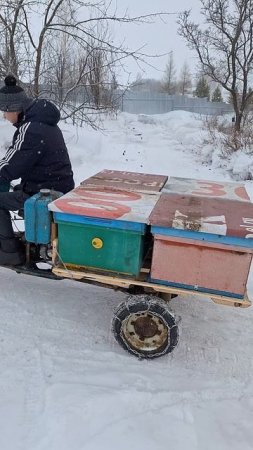 начали выставлять пчелосемьи