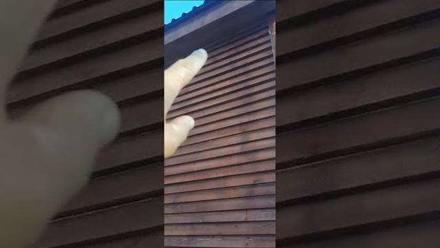 строю дом