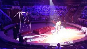 цирк_бурлеск_1