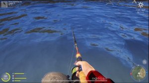 РР4ПРОВЕРКА ТОЧЕК НА ЩУКУ+ЛАЙТ.