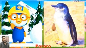 Pororo the Little Penguin Characters In Real Life
