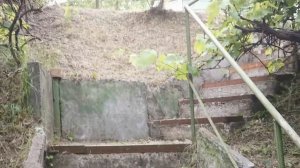 #Уборка дачного участка. #(4)