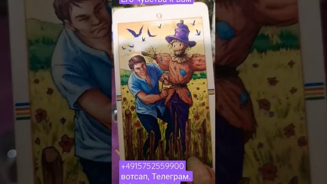 Его чувства к вам смотреть онлайн