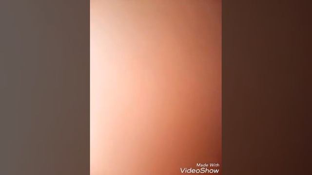 Влог про моего хомяка и что должно быть в клетке. смотреть онлайн