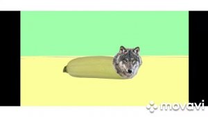 Новая песня ТУЦ-ТУТУЦ.