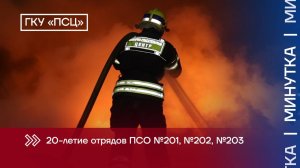 ПСО 201, 202, 203