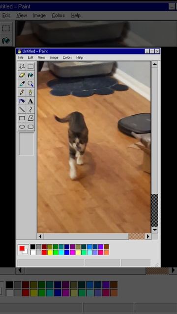 Microsoft Kitten Paint смотреть онлайн
